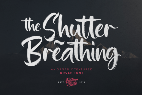 Shutter Breathing: A Fresh Organic Brush Font for Editorial Creativity